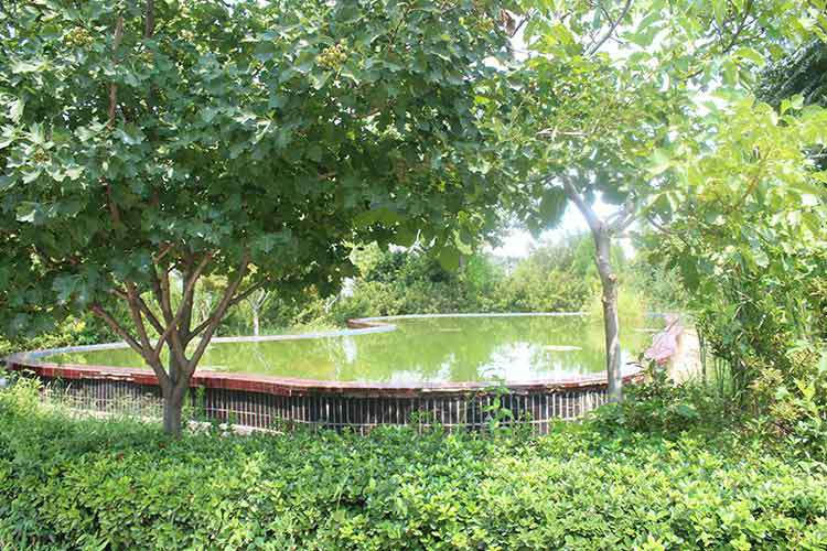 银川吕浩旅游教育咨询有限公司机械厂区环境优美